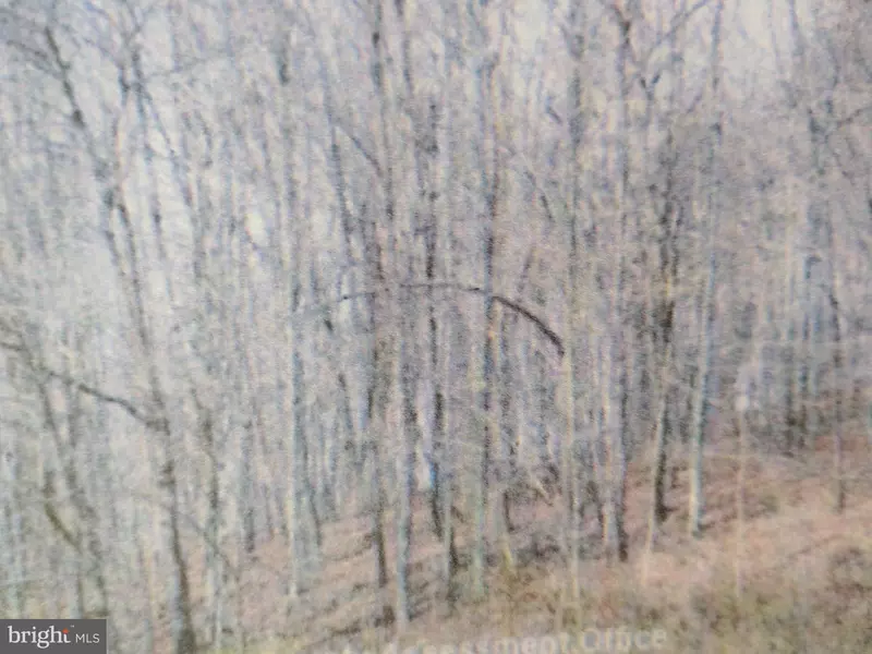 22 RIGHT HAND GAP RD, Claysburg, PA 16625