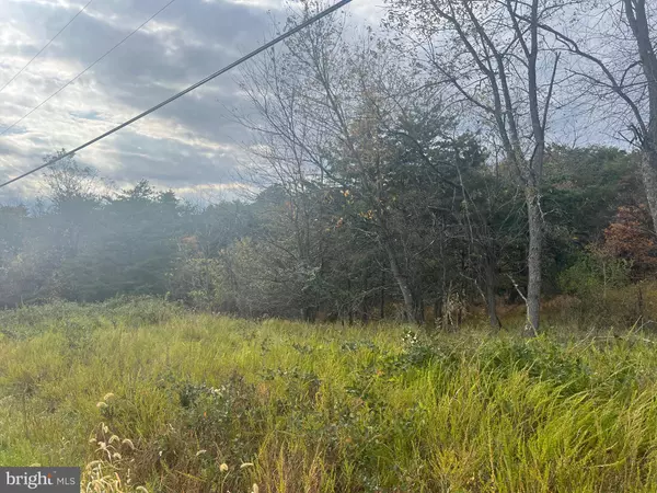 Hedgesville, WV 25427,316 JADE CT