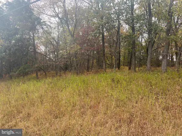 Hedgesville, WV 25427,316 JADE CT