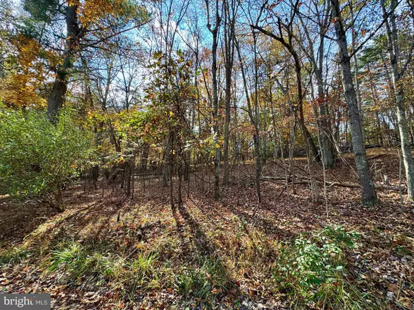 Berkeley Springs, WV 25411,WHITETAIL DR #LOT 33