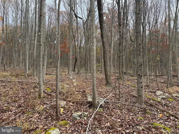 Robertsdale, PA 16674,TRACT 1: 65+/- ACRES COLES VALLEY RD