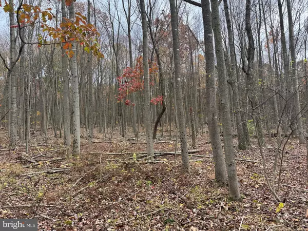 Robertsdale, PA 16674,TRACT 1: 65+/- ACRES COLES VALLEY RD