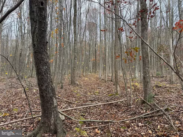 Robertsdale, PA 16674,TRACT 1: 65+/- ACRES COLES VALLEY RD