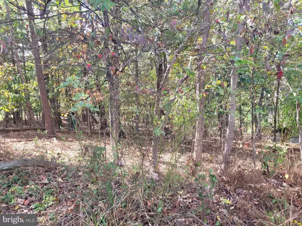 Cross Junction, VA 22625,126 DOWNHILL CIR