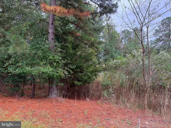 Issue, MD 20645,14985 PERSIMMON CT