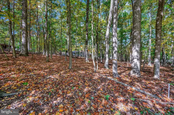 Locust Grove, VA 22508,107 GOLD VALLEY RD