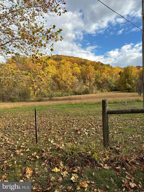 Banco, VA 22711,1463 QUAKER RUN RD