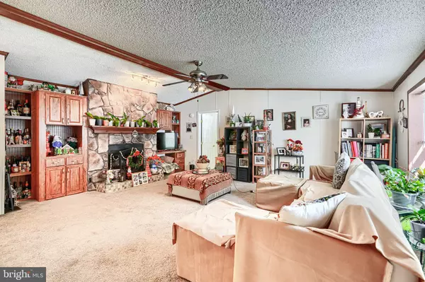 Havre De Grace, MD 21078,3 LOCUST STREET