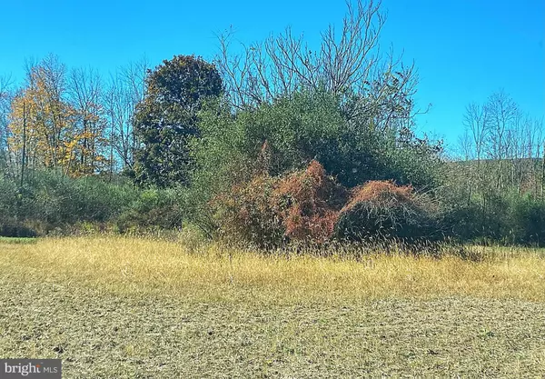 New Tripoli, PA 18066,4038 ALLEMAENGEL RD