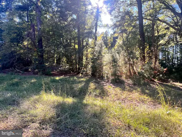 Montross, VA 22520,252 LIGHTHOUSE LN