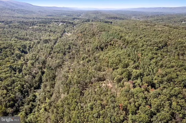 Gore, VA 22637,LOT 1 BACK CREEK RD