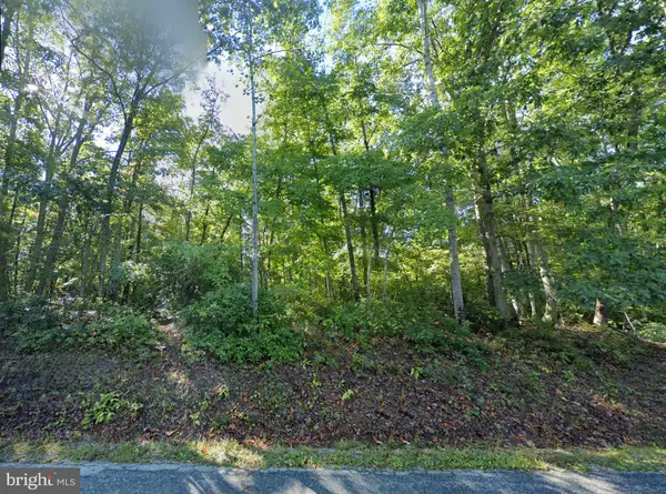 Shipman, VA 22971,LOT 1 LAUREL RD