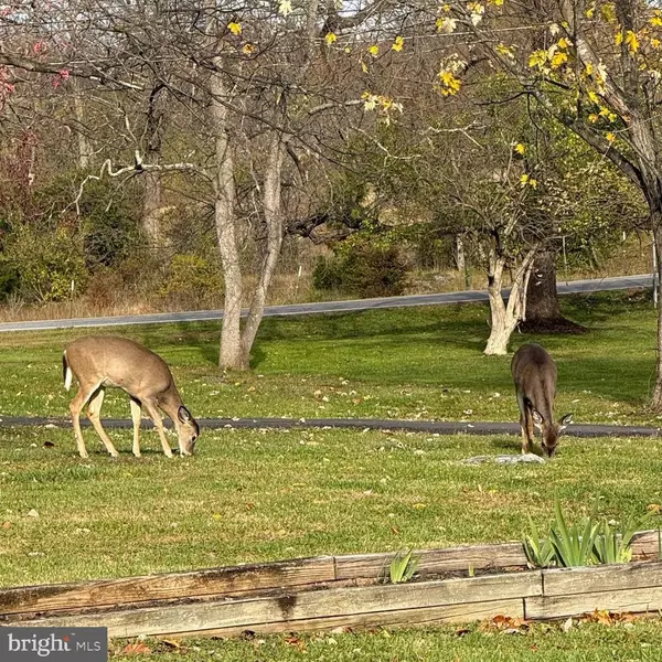 Charles Town, WV 25414,3622 SUMMIT POINT RD