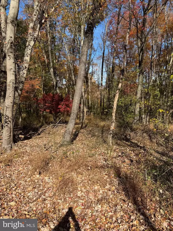 Great Falls, VA 22066,BLUE RIDGE LANE #24A3