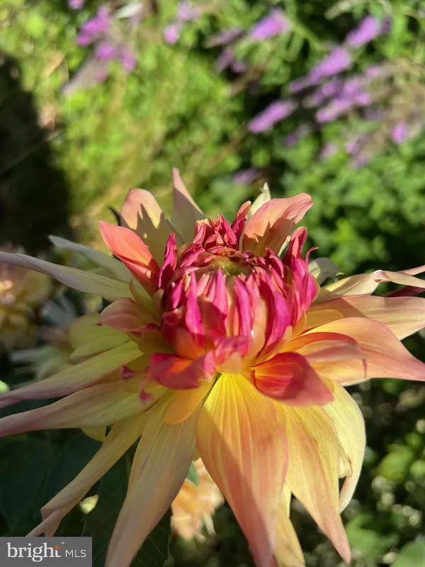 Philadelphia, PA 19128,562 LEVERINGTON AVE