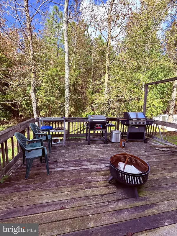 Denton, MD 21629,1233 PAINTED FERN RD