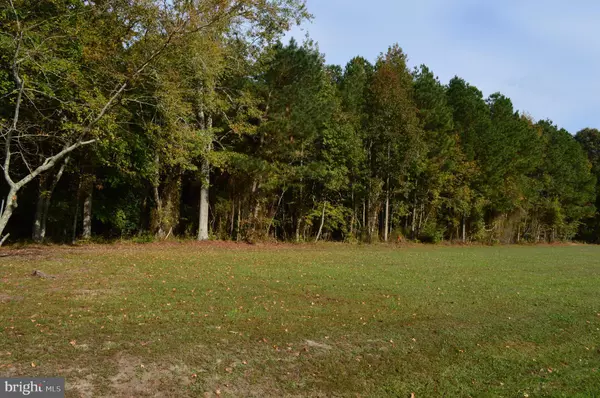 Eden, MD 21822,0 YACHT CLUB RD