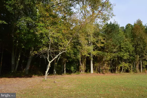 Eden, MD 21822,0 YACHT CLUB RD