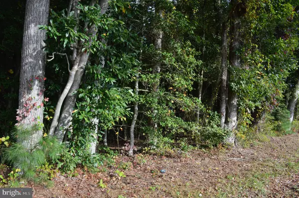 Eden, MD 21822,0 YACHT CLUB RD