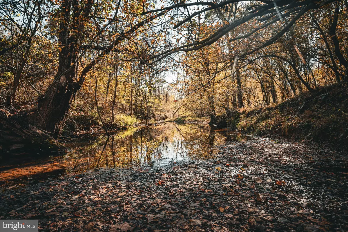 Gordonsville, VA 22942,14603 COX MILL RD