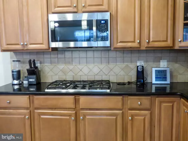 Ashburn, VA 20147,44529 BLUERIDGE MEADOWS DR