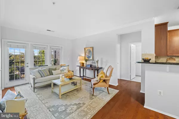 North Bethesda, MD 20852,11750 OLD GEORGETOWN #2524