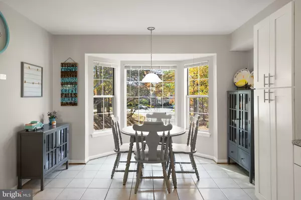 Clifton, VA 20124,13500 CANADA GOOSE CT