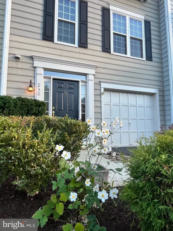 Leesburg, VA 20175,230 CONNERY TER SW