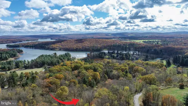 Oakland, MD 21550,LOT 18 LAUREL CT