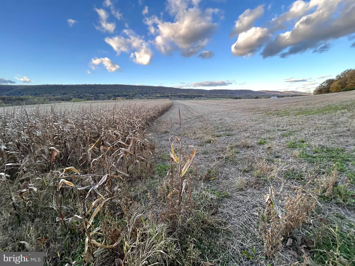 Boalsburg, PA 16827,LOT #2 LINDEN HALL RD