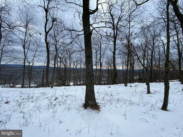1764 MONROE MOUNTAIN ROAD, Clearville, PA 15535