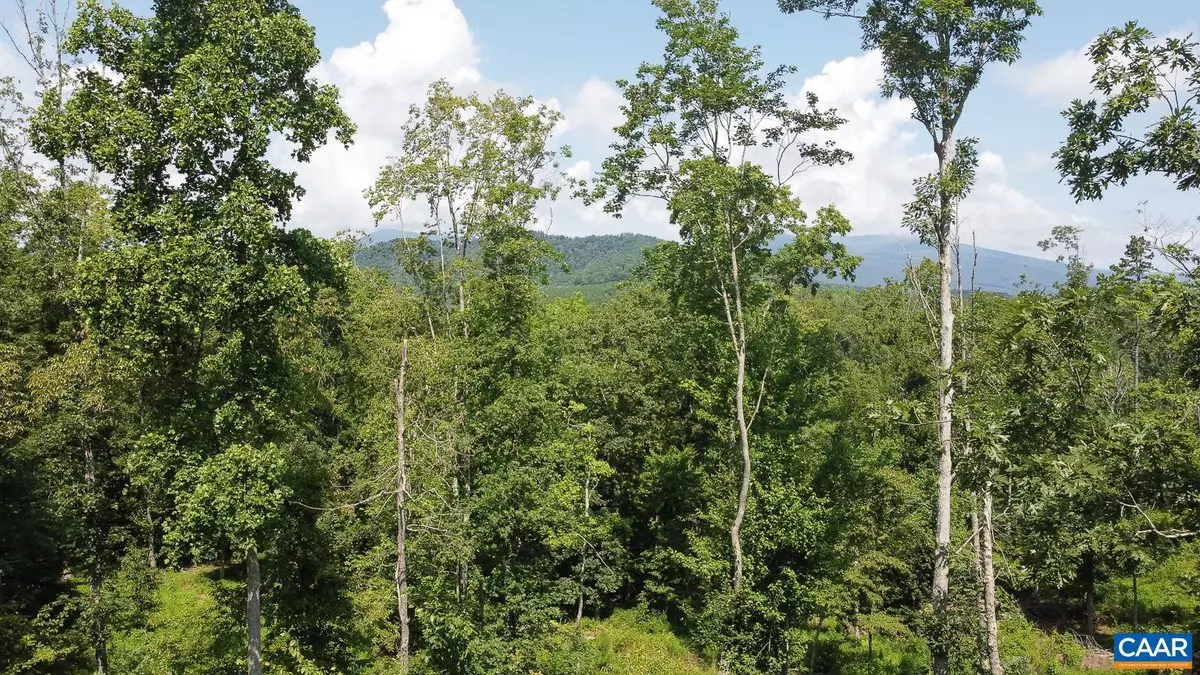 Faber, VA 22938,0 ADIAL RD #13