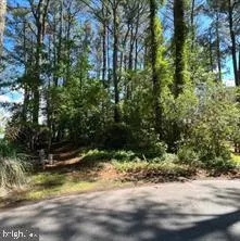 Bishopville, MD 21813,11043 PINEY ISLAND DR