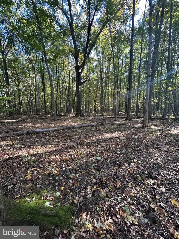 Chestertown, MD 21620,GEORGETOWN RD