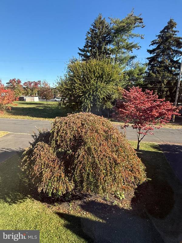 Warminster, PA 18974,586-A OLIVE ST