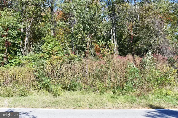 Warwick, MD 21912,WILSON ST