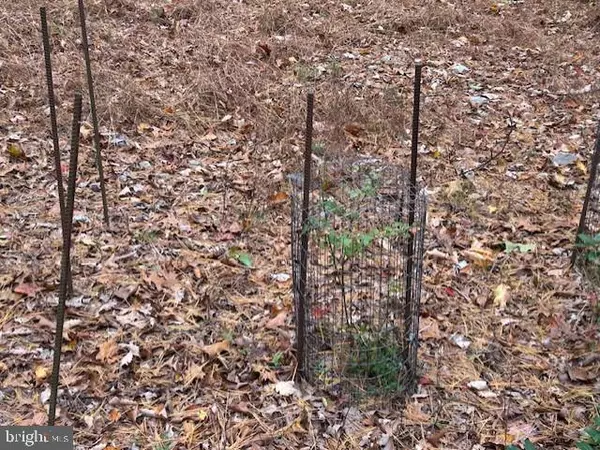 Newport, PA 17074,1161 KEYSTONE WAY