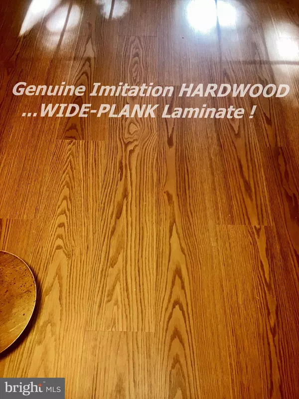 Silver Spring, MD 20906,14909 CLEESE CT #4CA