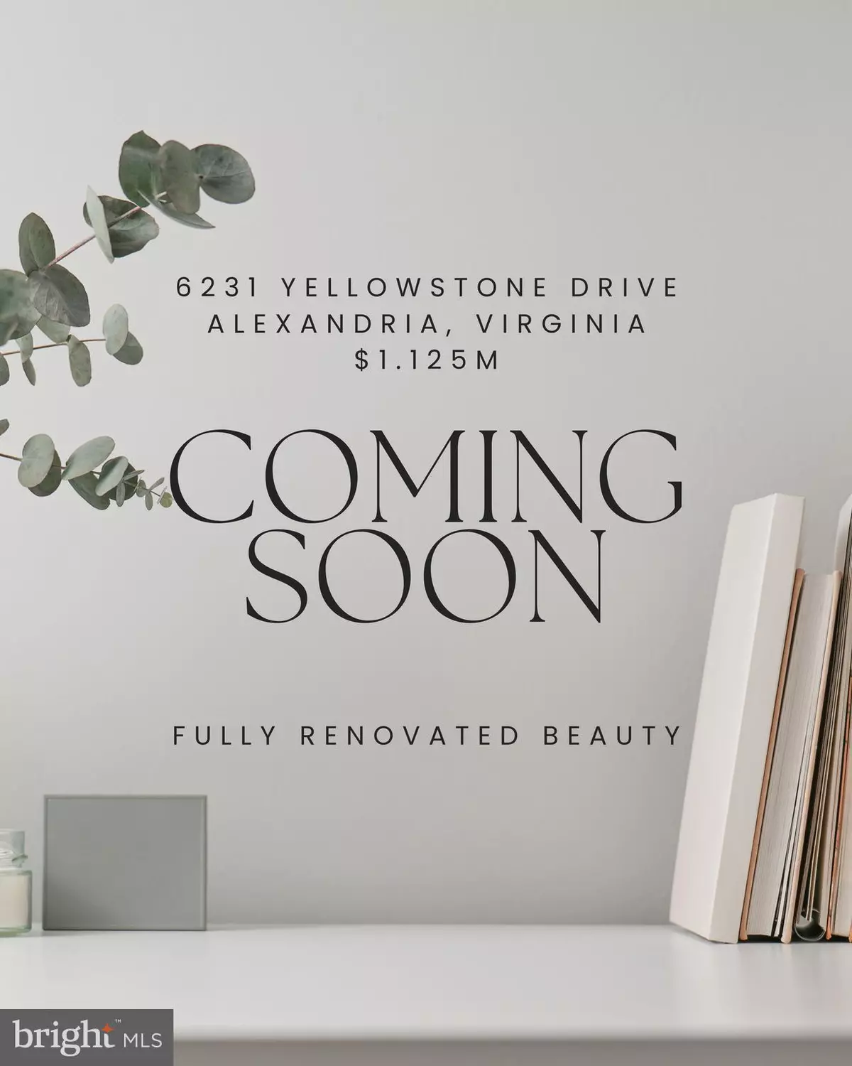 Alexandria, VA 22312,6231 YELLOWSTONE DR