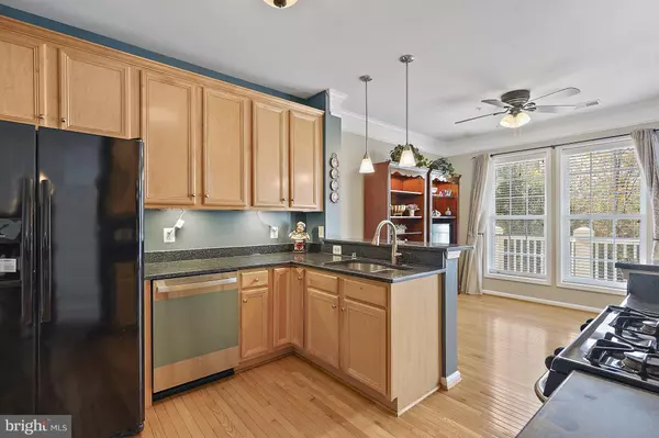 Aldie, VA 20105,41973 BLUE FLAG TER