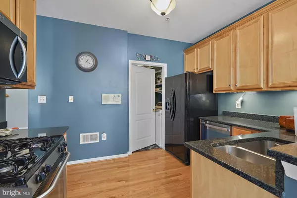 Aldie, VA 20105,41973 BLUE FLAG TER