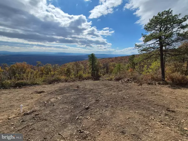 Winchester, VA 22602,1217 ROCKWOOD