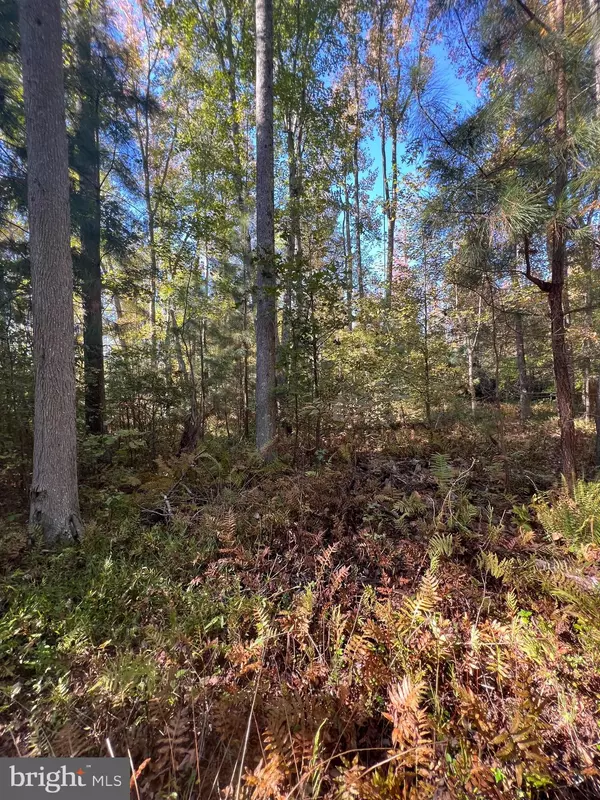 Newburg, MD 20664,MAIDEN POINT FARM ROAD