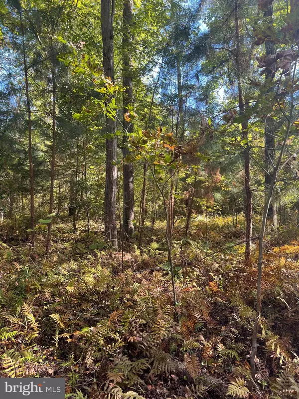 Newburg, MD 20664,MAIDEN POINT FARM ROAD