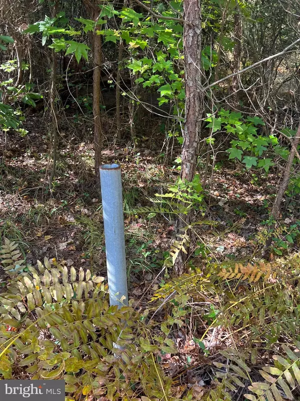 Newburg, MD 20664,MAIDEN POINT FARM ROAD