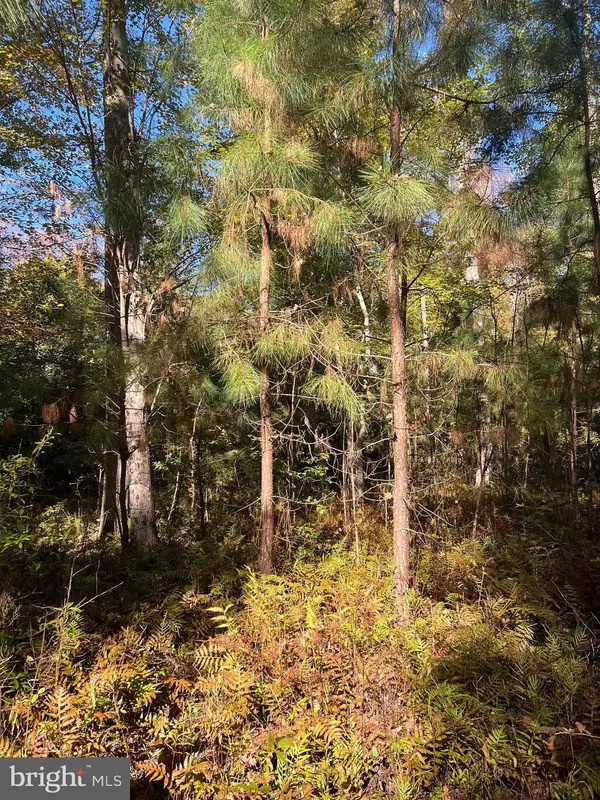 Newburg, MD 20664,MAIDEN POINT FARM ROAD