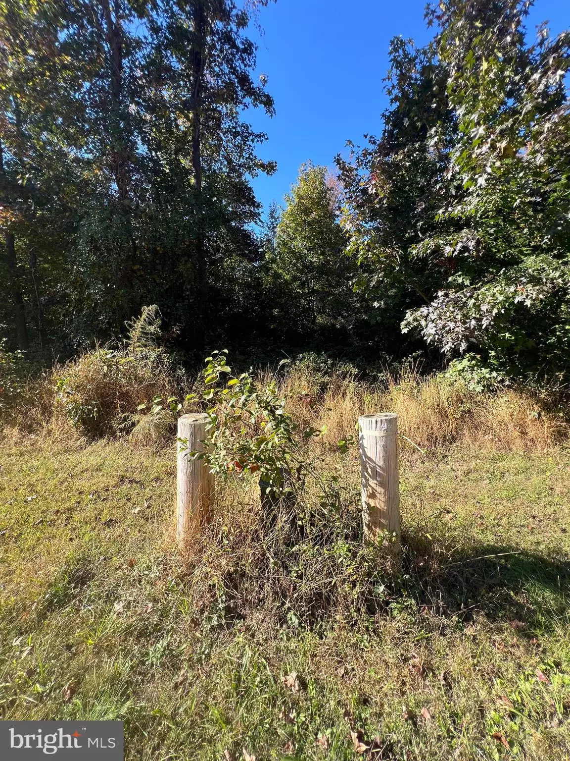 Newburg, MD 20664,MAIDEN POINT FARM ROAD