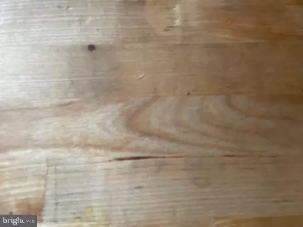 Salisbury, MD 21804,1209 BELMONT AVE