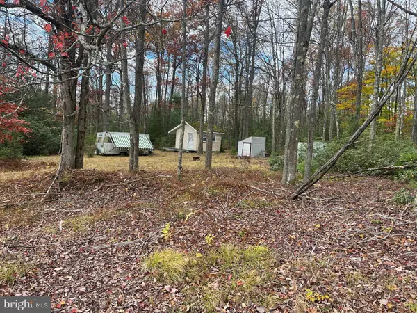 Frenchville, PA 16836,N WOODS RD #LOT 19