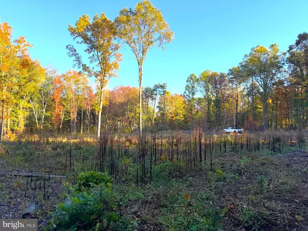 Culpeper, VA 22701,16120 BRANDY RD